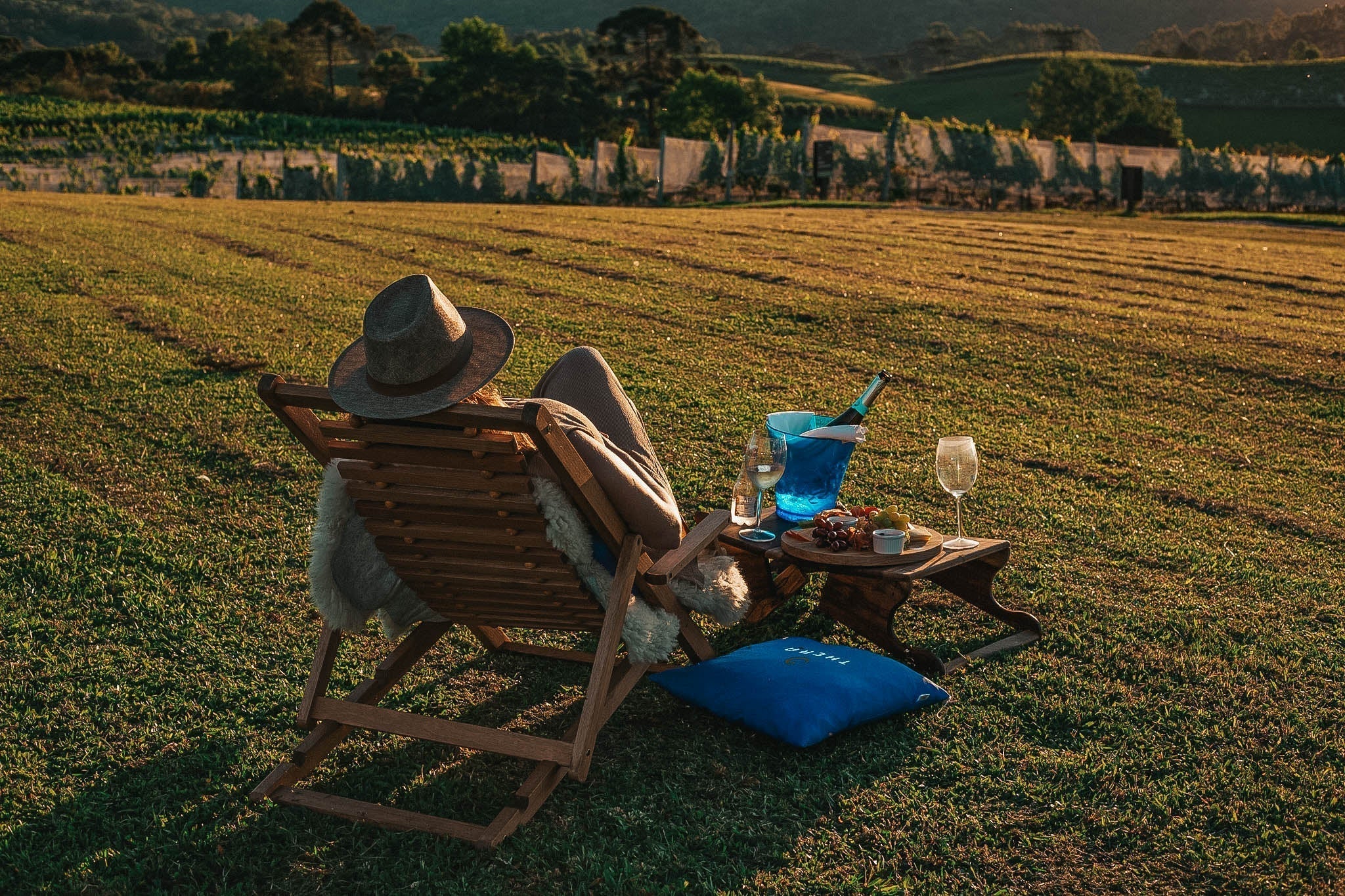 Piquenique nos vinhedos da Serra Catarinense: como aproveitar esta experiência a dois