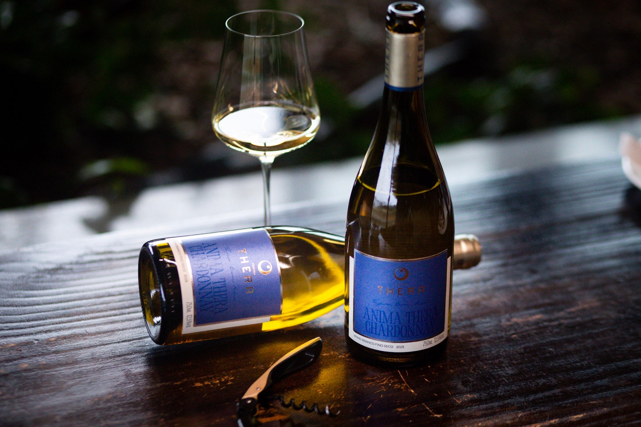 Anima Thera Chardonnay: novo vinho branco da Vinícola Thera para quem ama frescor, elegância e autenticidade