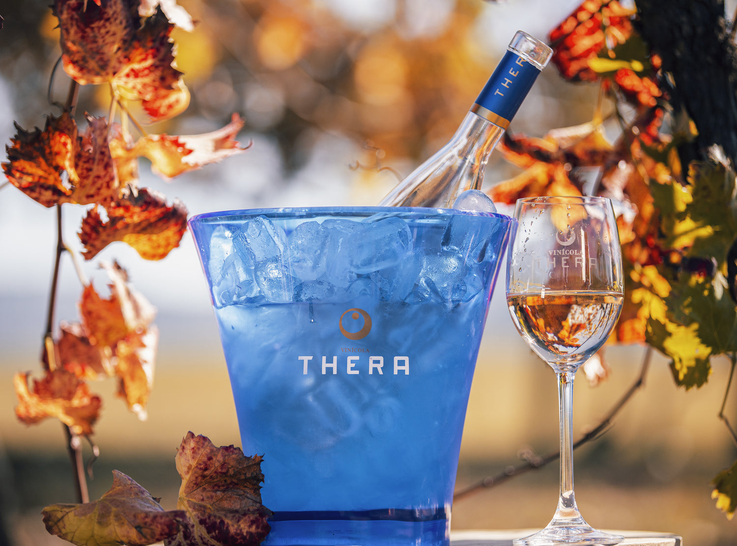 É possível guardar vinhos rosés para que eles envelheçam?