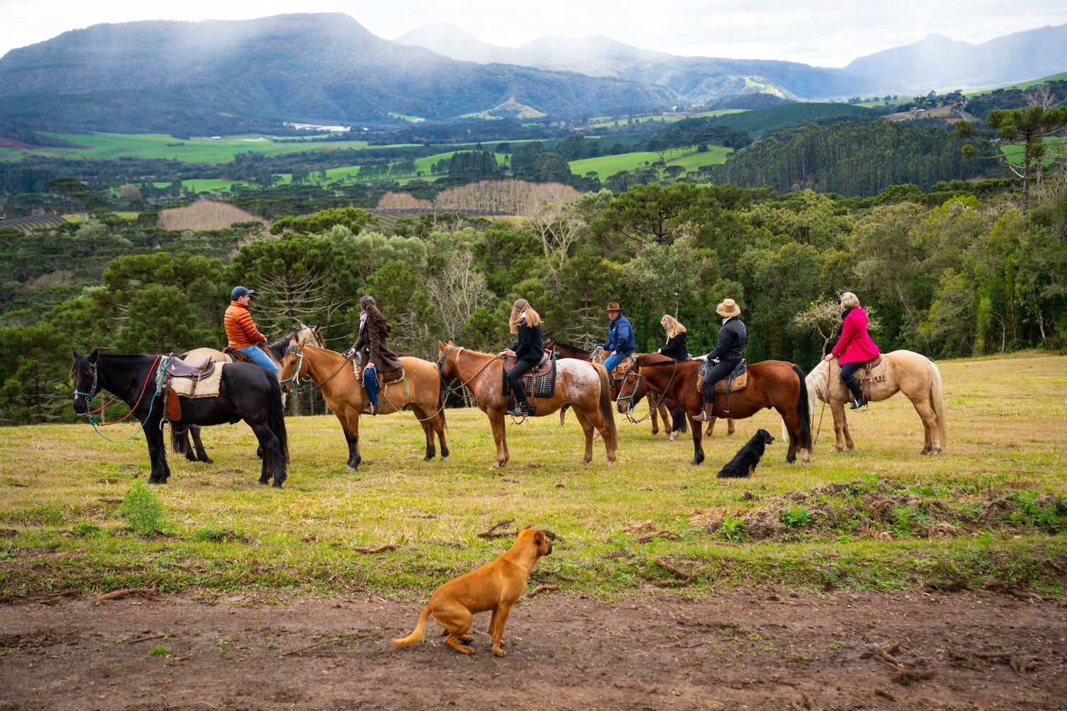 Cavalgadas na Fazenda Bom Retiro: descubra a Serra Catarinense de novos ângulos