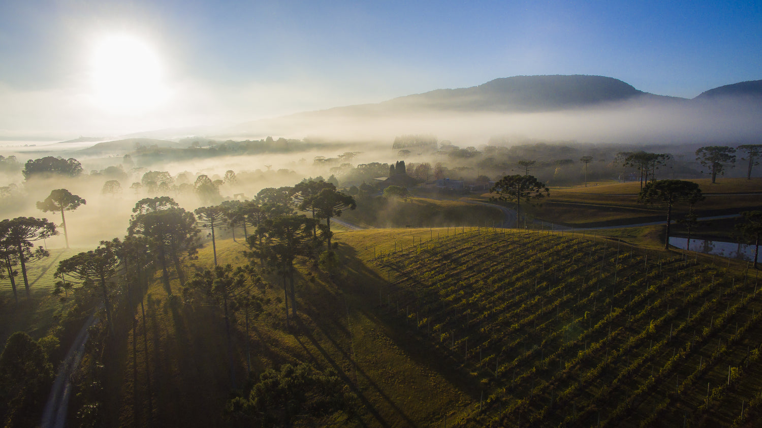 Tudo o que você precisa fazer para ter um dia off e relaxar corpo e mente