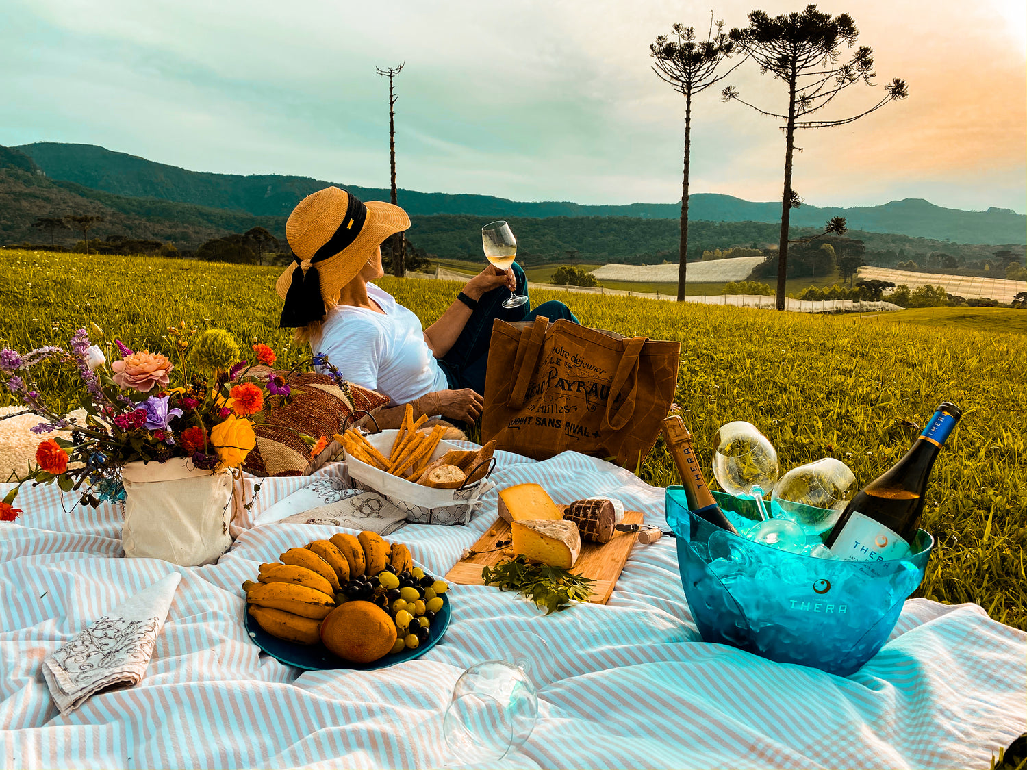 Tudo o que você sempre quis saber sobre vinho, papilas gustativas e os superdegustadores