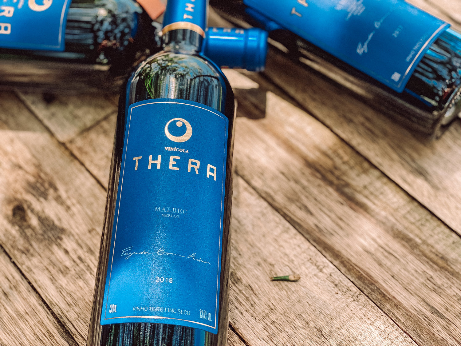 Thera Malbec conquista 90 pontos no Guia Descorchados 2021