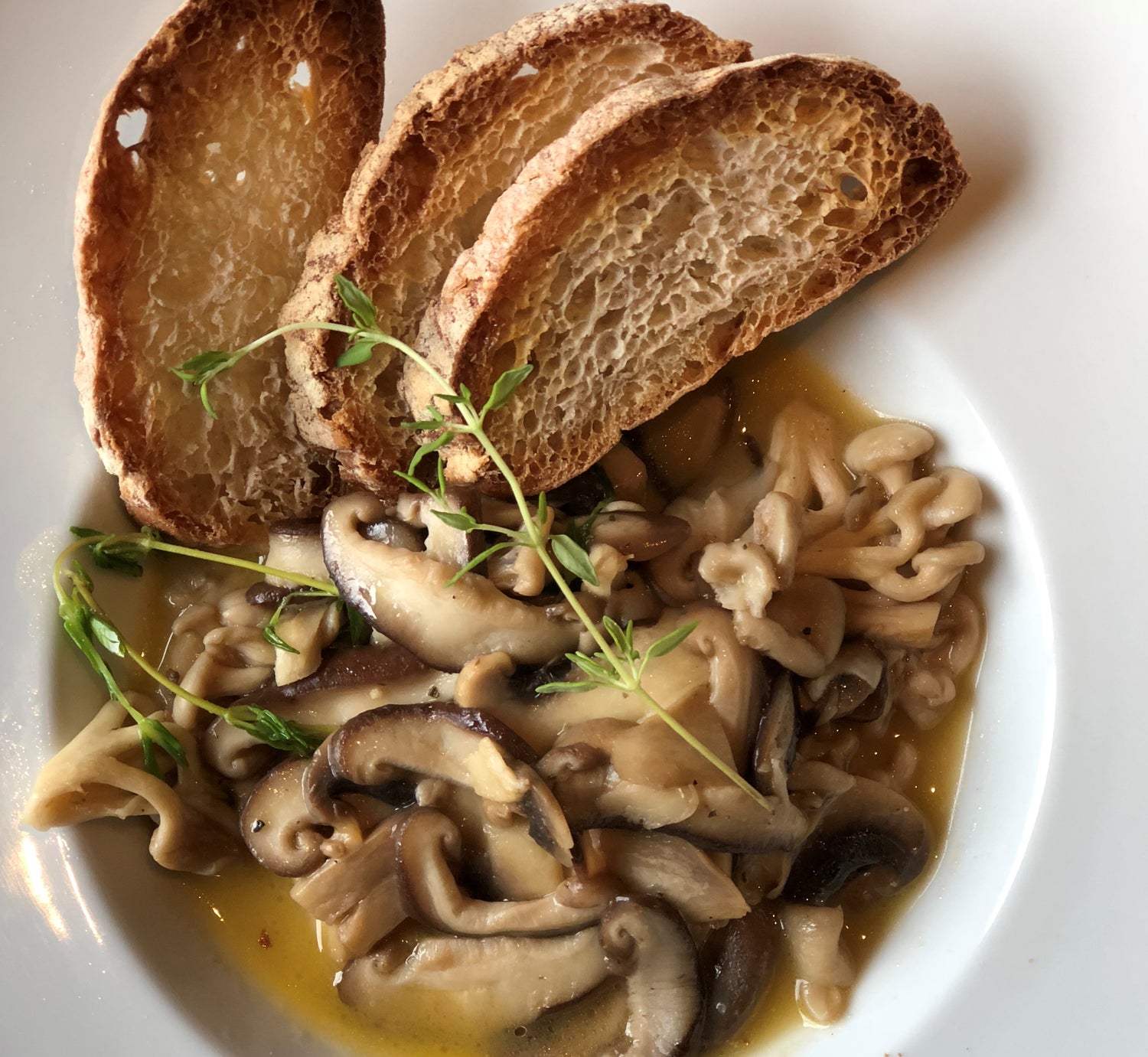 Como harmonizar massas, saladas e outros pratos sem carne com vinho