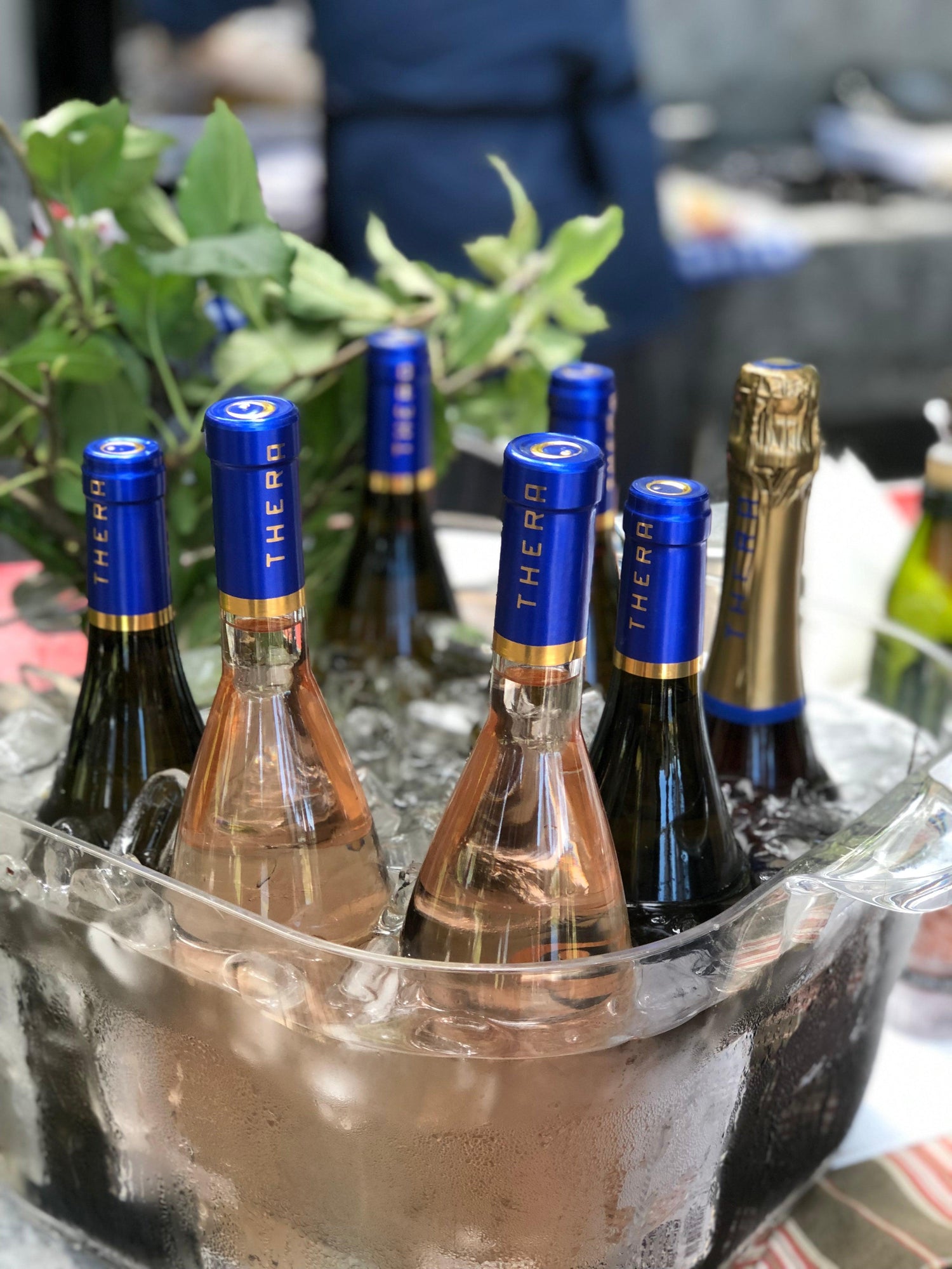 Três vinhos essenciais para curtir na piscina ou à beira-mar