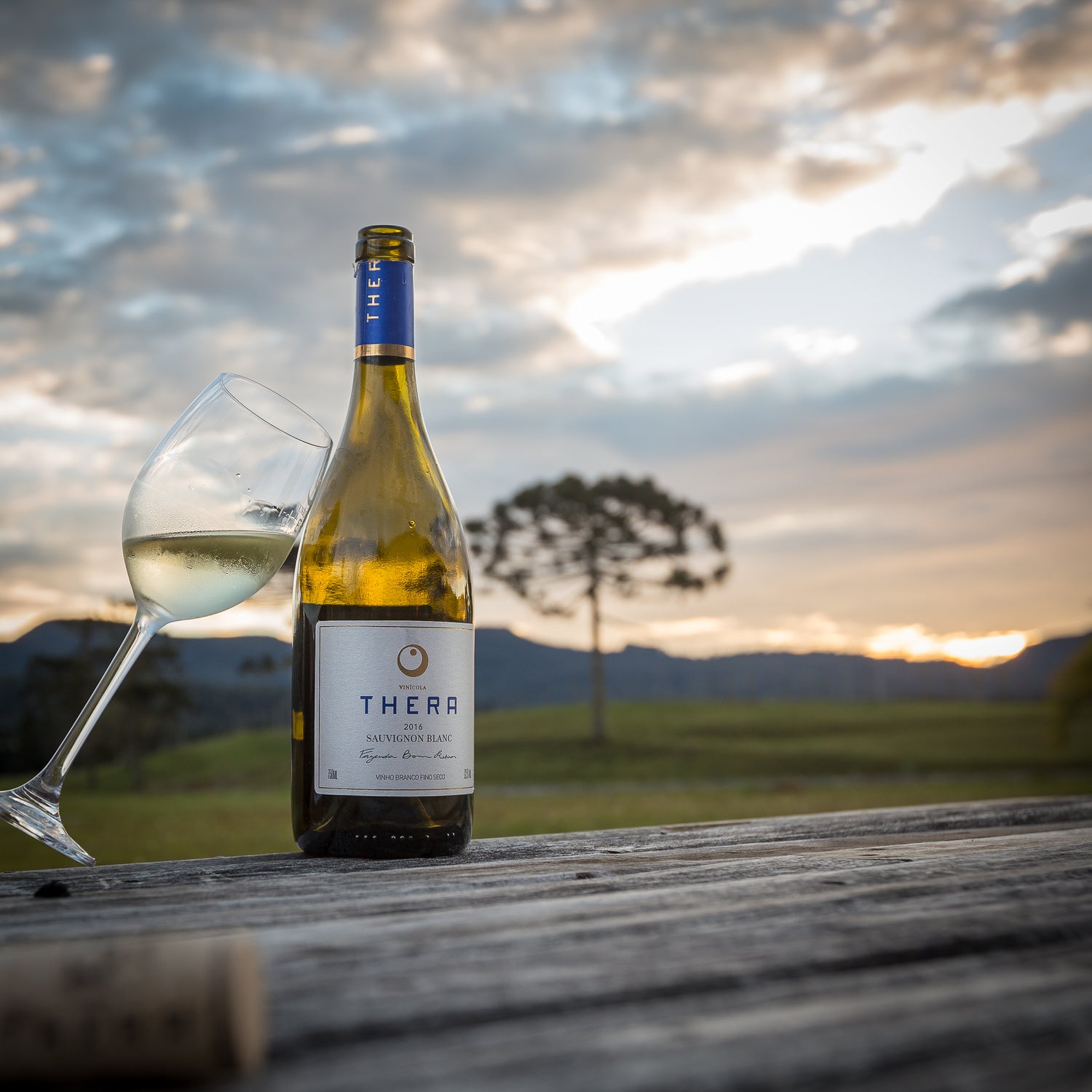 Os cinco vinhos que não podem faltar na sua adega