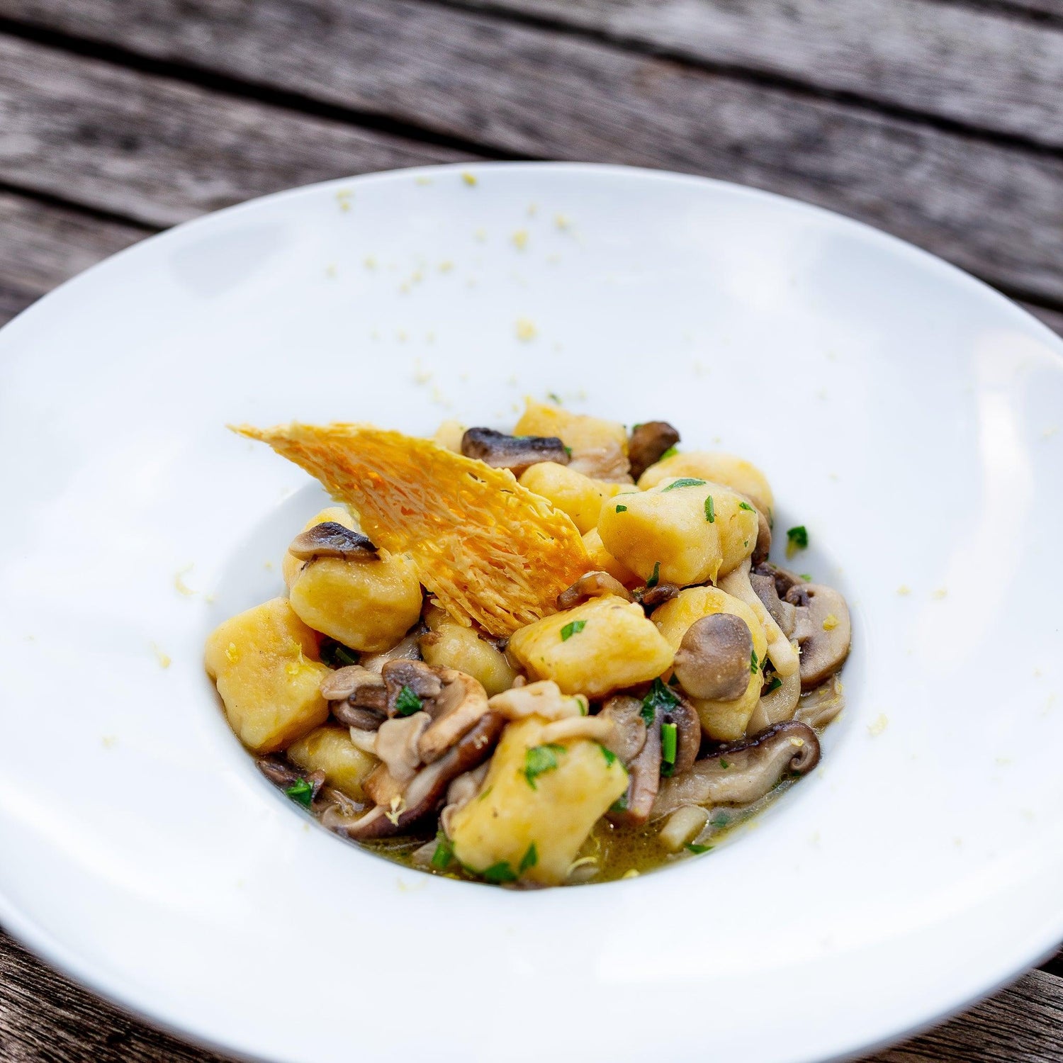 Cogumelos: quais usar, como e os vinhos que fazem as melhores harmonizações