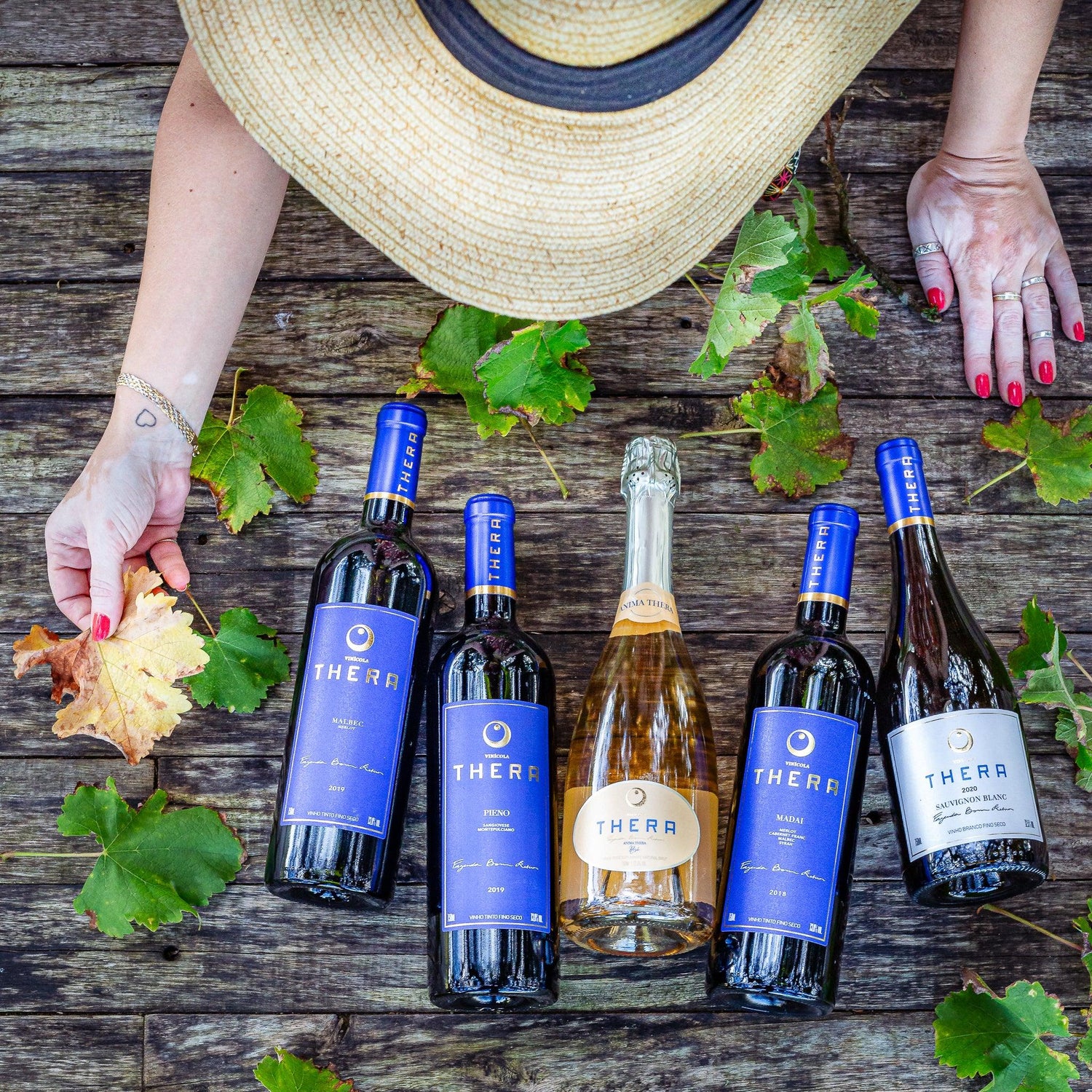 Como escolher um vinho para presentear amigo, familiar, colega de trabalho ou crush