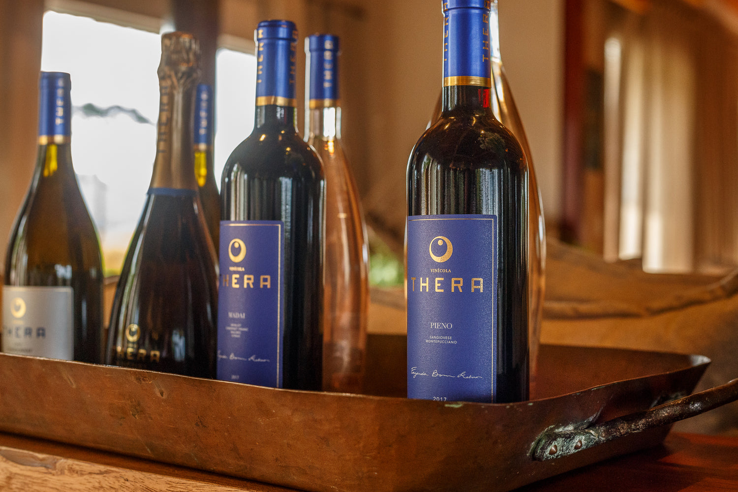 Cinco razões para tomar vinhos brasileiros e virar fã para sempre