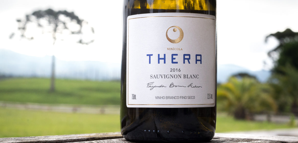 Saiba tudo sobre a Sauvignon Blanc, a estrela da Serra Catarinense