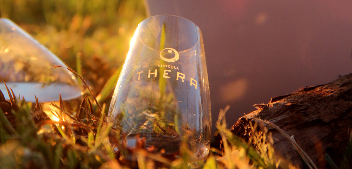 Entenda a diferença entre fermentação alcoólica e fermentação malolática