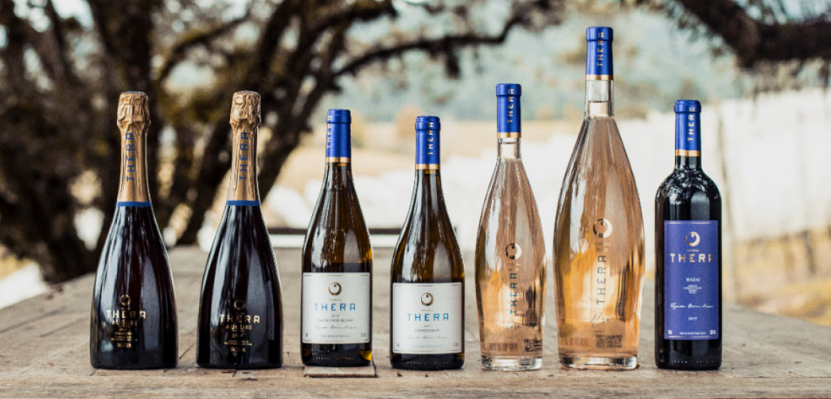 Malbec: a uva que consagrou a Argentina no mundo dos vinhos