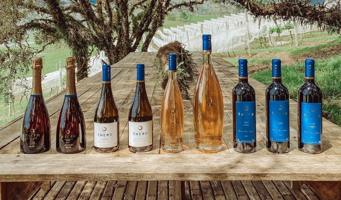 Respondemos cinco dúvidas sobre os vinhos para as festas de fim de ano