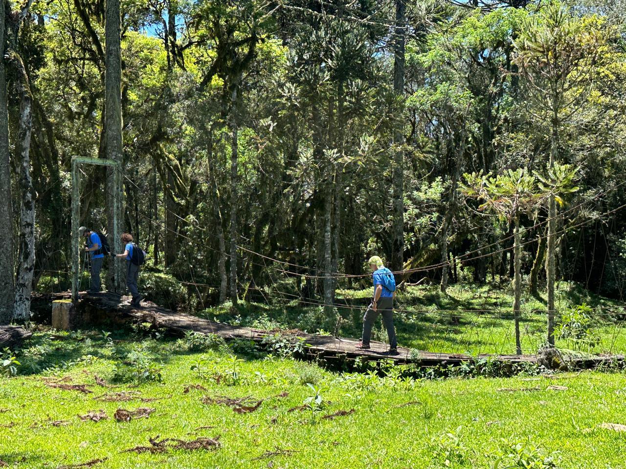Vinícola Thera é destino de trekking inédito na Serra Catarinense