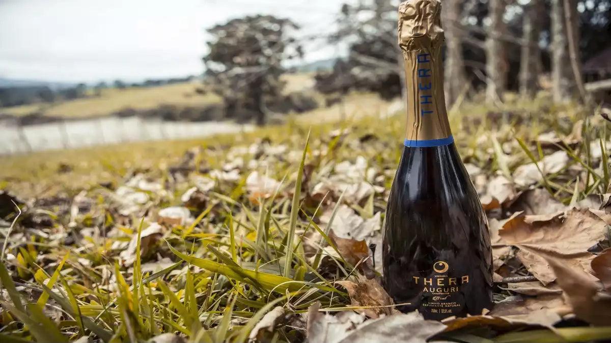 a imagem mostra um vinho posicionado em um campo.