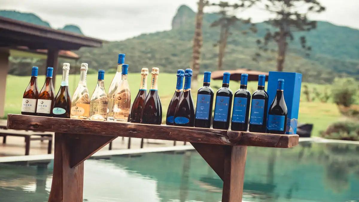 Vinhos para presente: kits completos para presentear quem você ama