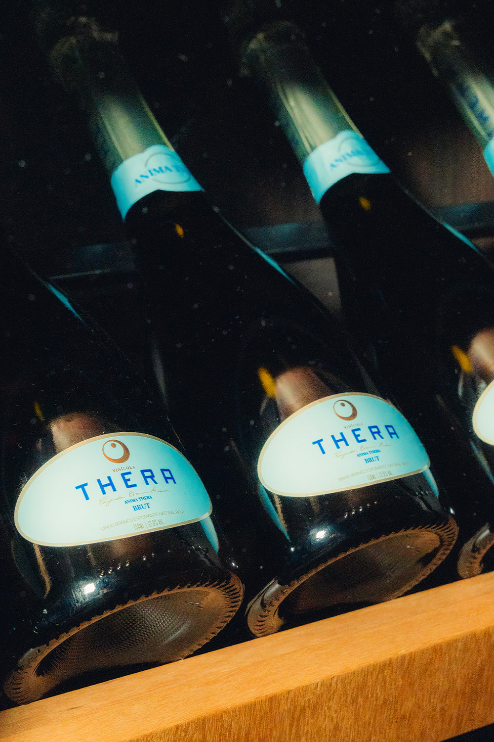Thera Anima Brut