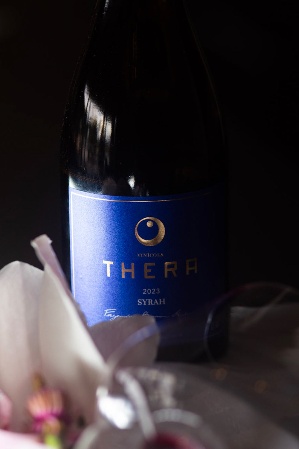 Thera Syrah 2023