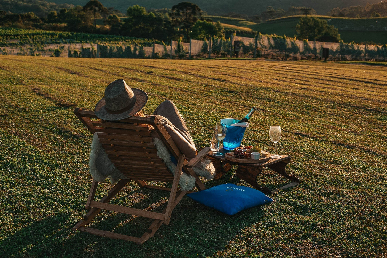 Piquenique nos vinhedos da Serra Catarinense: como aproveitar esta experiência a dois
