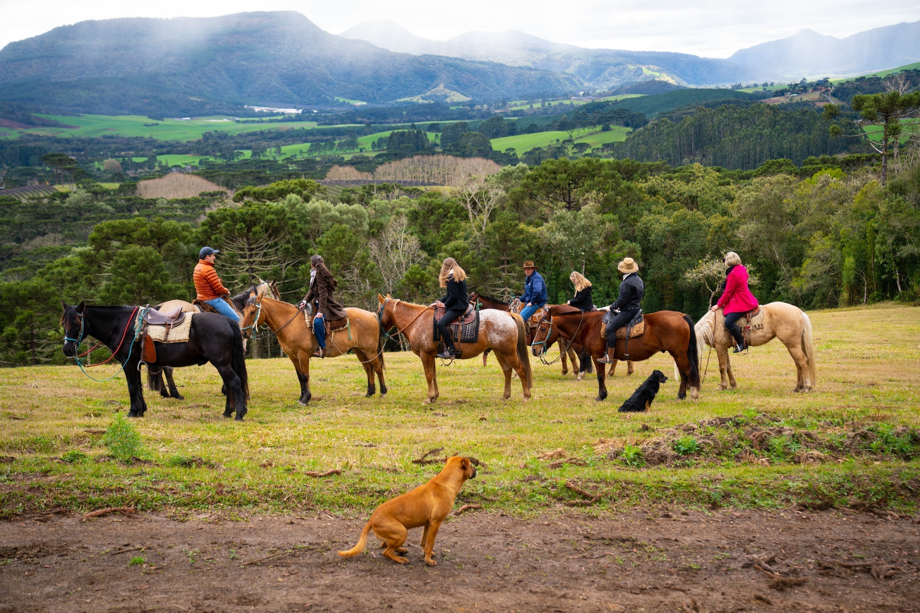Cavalgadas na Fazenda Bom Retiro: descubra a Serra Catarinense de novos ângulos