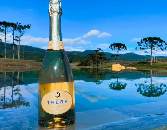Espumante Brut Rosé marca chegada de uma nova linha de vinhos Thera
