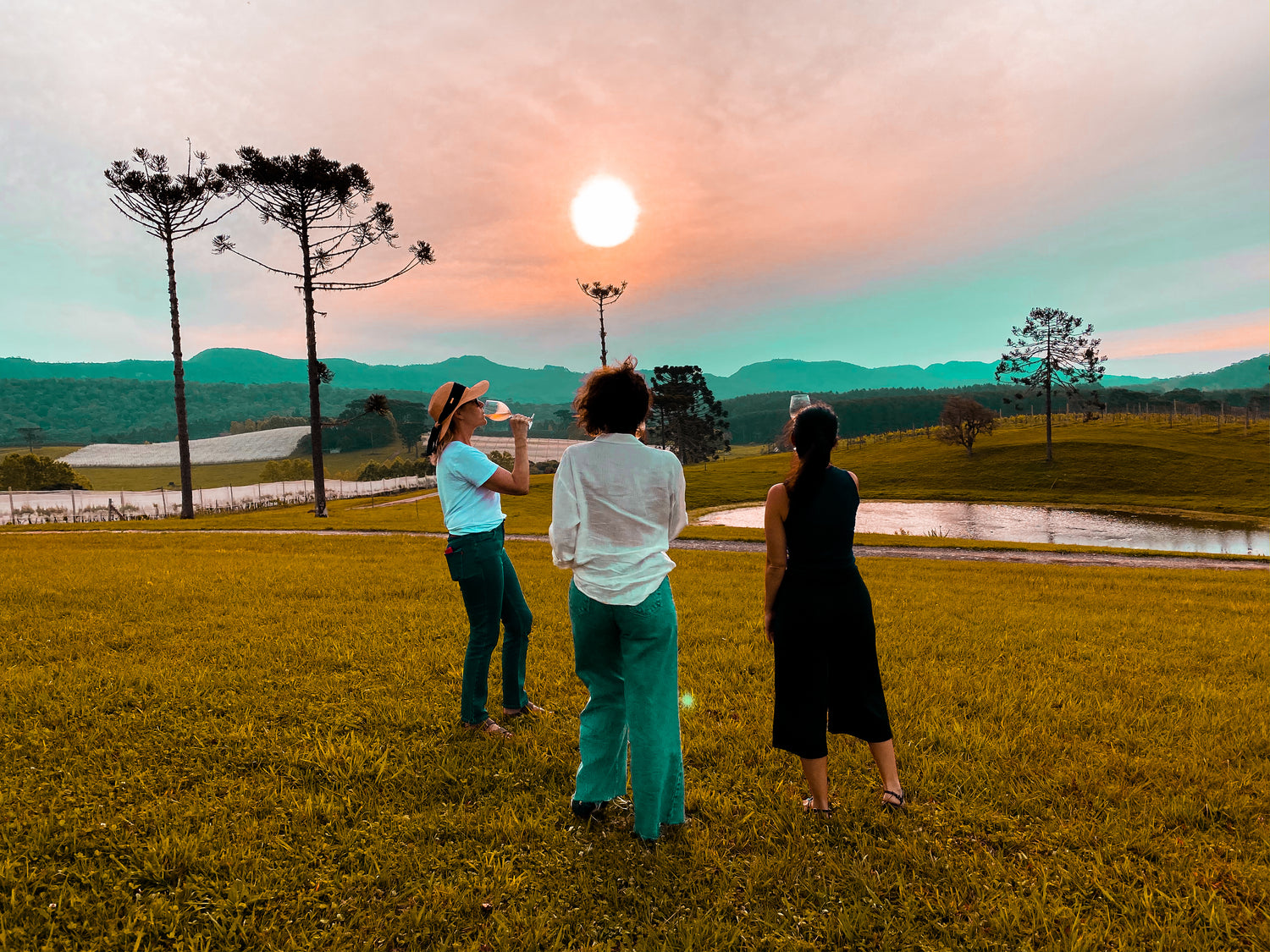 Confira os principais benefícios do vinho para a saúde