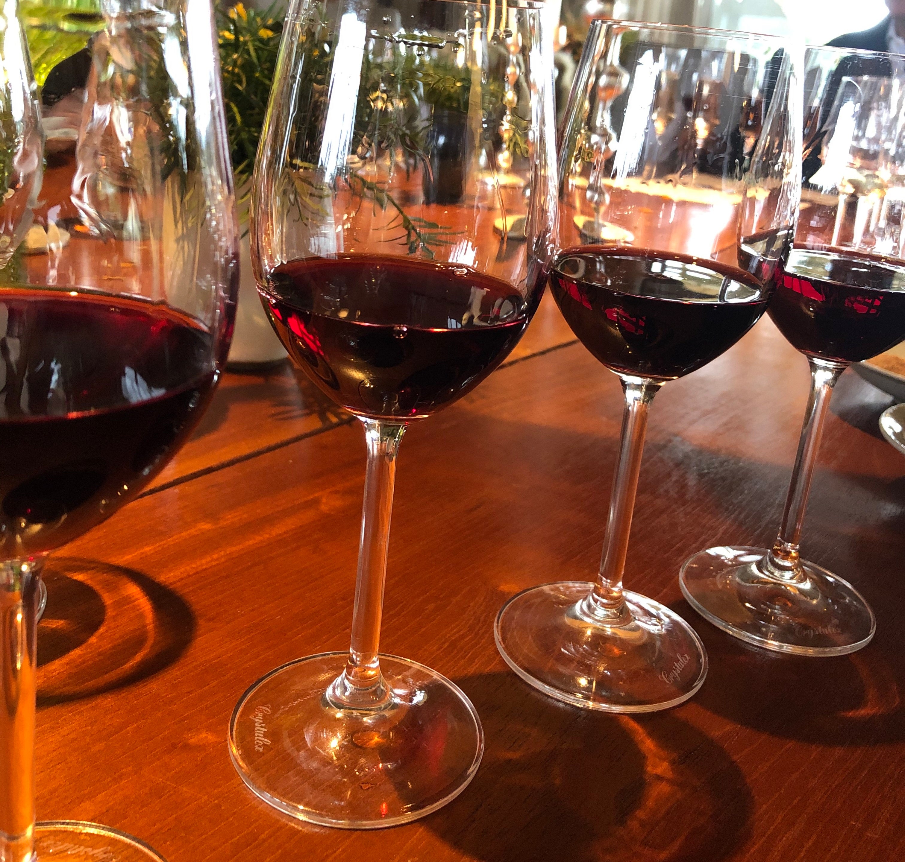 Duas tendências na elaboração de vinhos: mais ânfora e menos carvalho