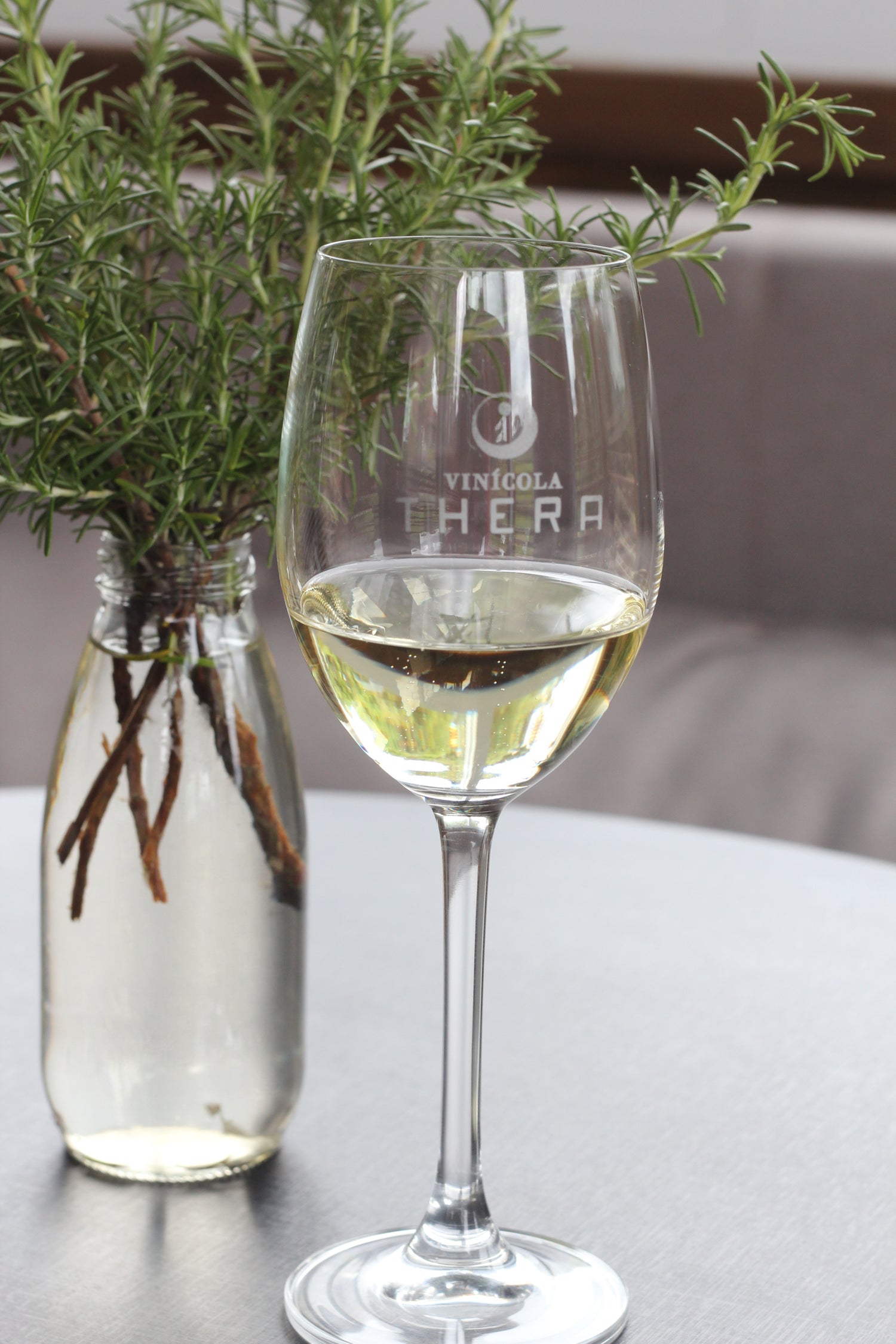 Saiba quais são os aromas herbáceos mais comuns nos vinhos brancos