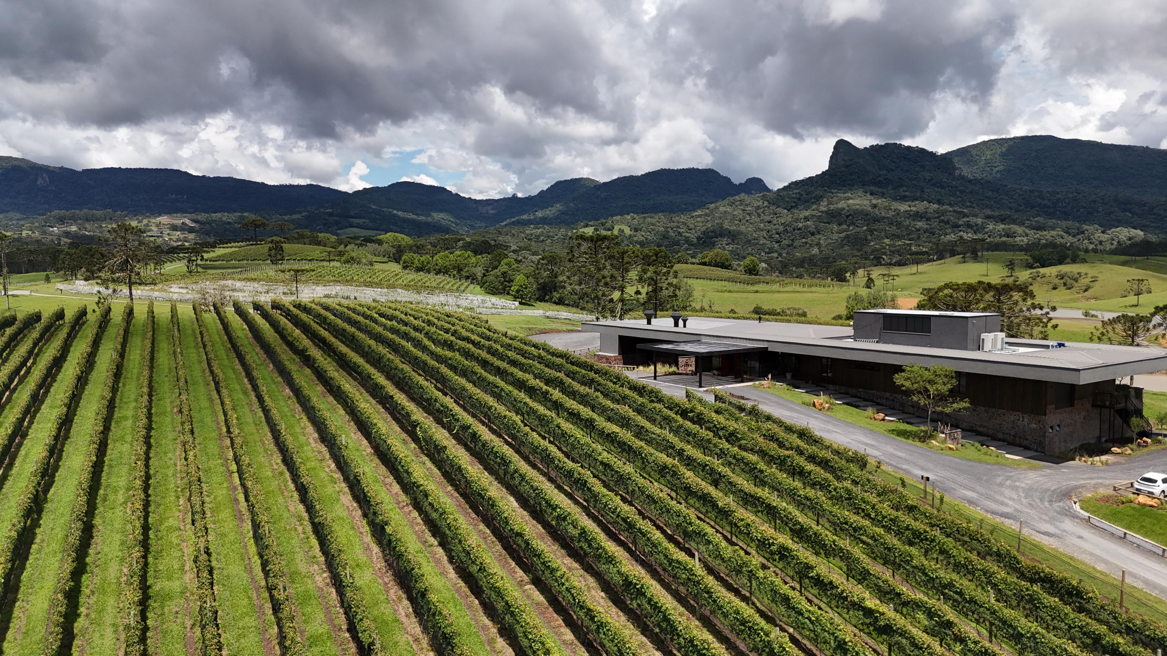 Jornal Estadão destaca enoturismo renovado da Vinícola Thera