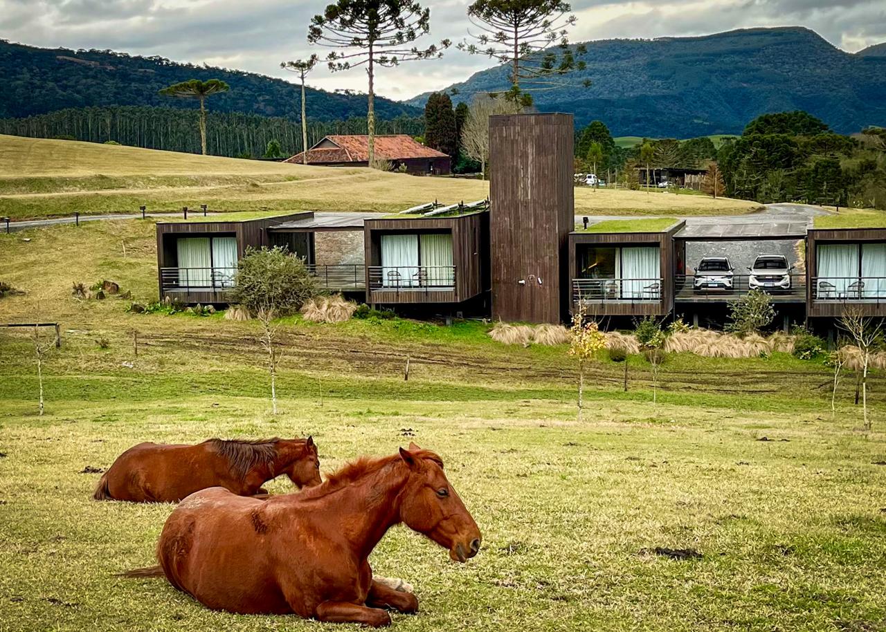 Pousada Bom Retiro redefine conceito de turismo de bem-estar com equine experience