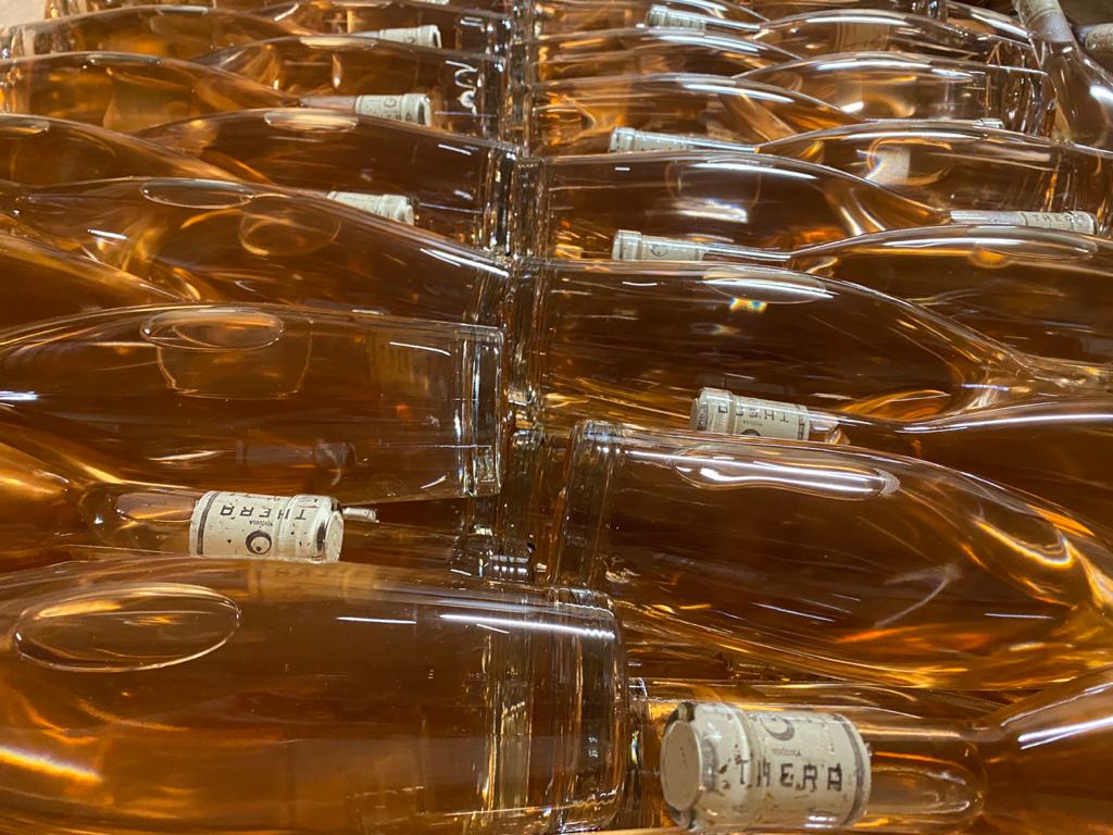 Saiba por que os vinhos da safra 2020 prometem ser muito especiais