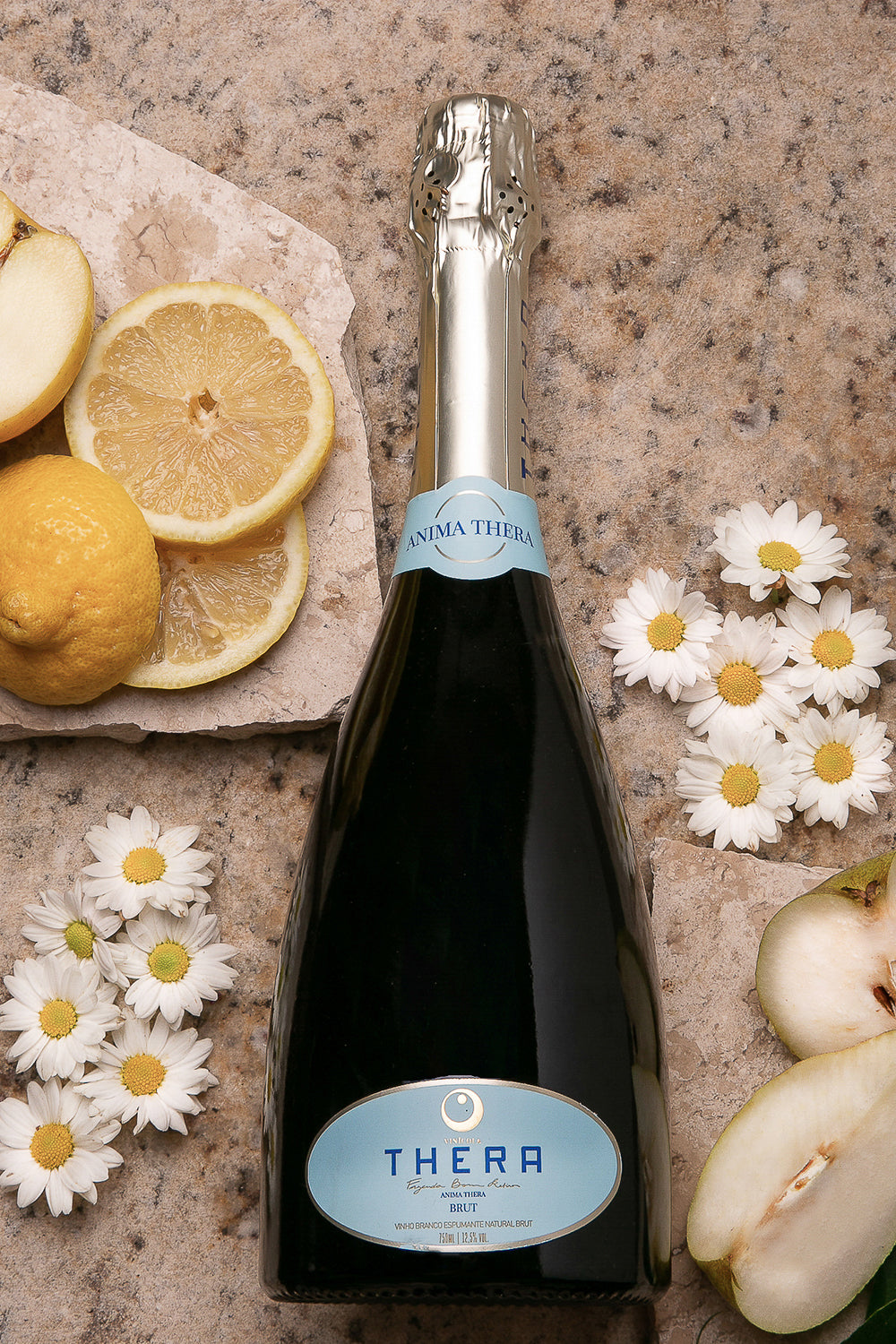 Thera Anima Brut