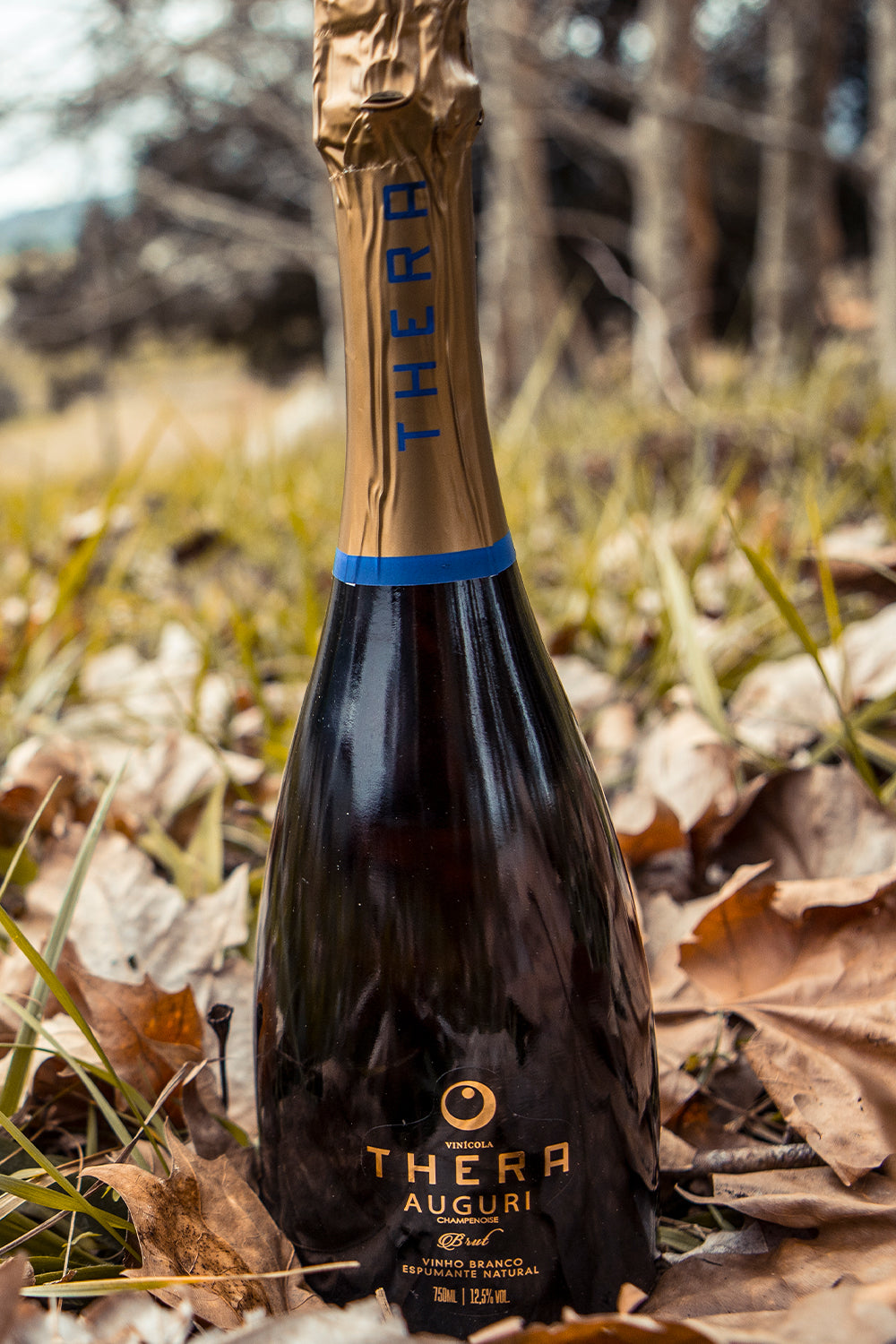 Thera Auguri Champenoise Brut