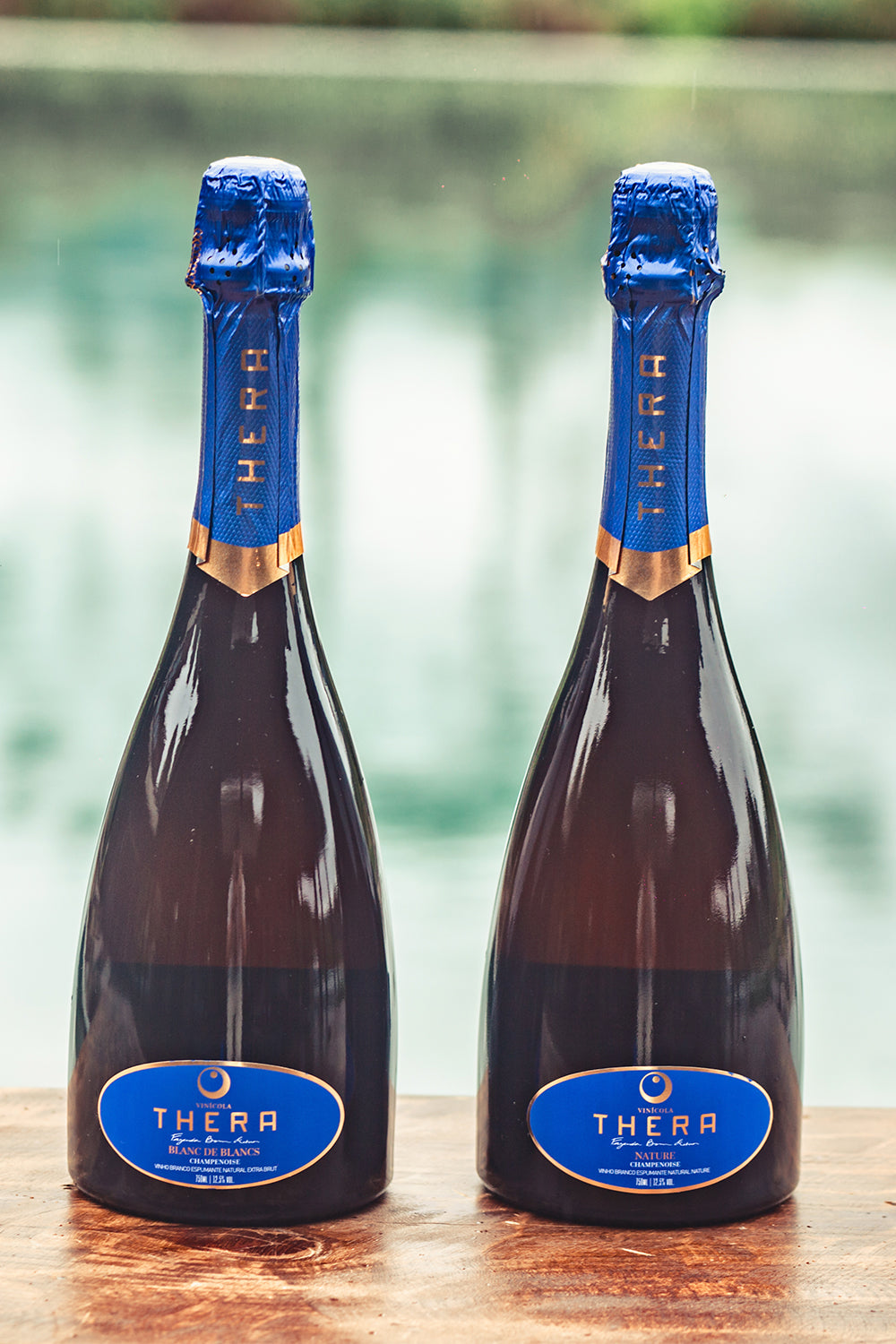 Vinicola Thera 36 Meses BB Extra Brut